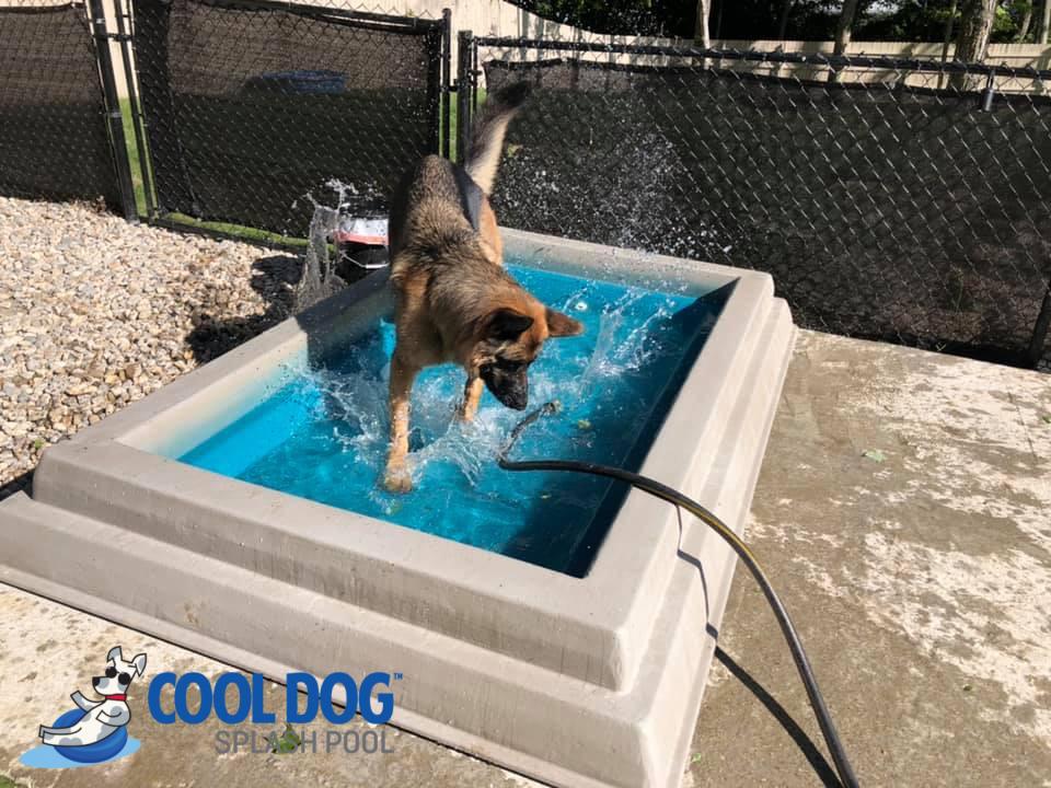 puncture proof dog pools